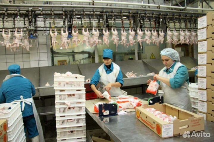 Оператор Линии Вахта Челябинск Проживание