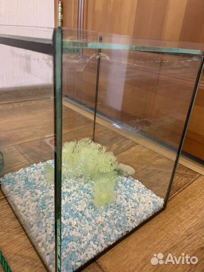 Аквариум для рыб
