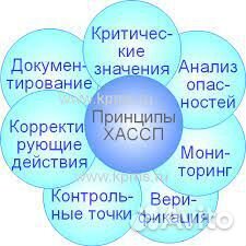 Разработка хассп, исо, смк, ппк, аудит