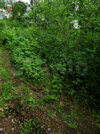 Участок 10 сот. (СНТ, ДНП)