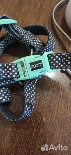 Шлейка и поводок