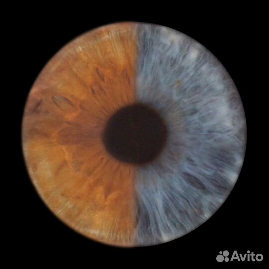 Фотостудия Радужки глаза