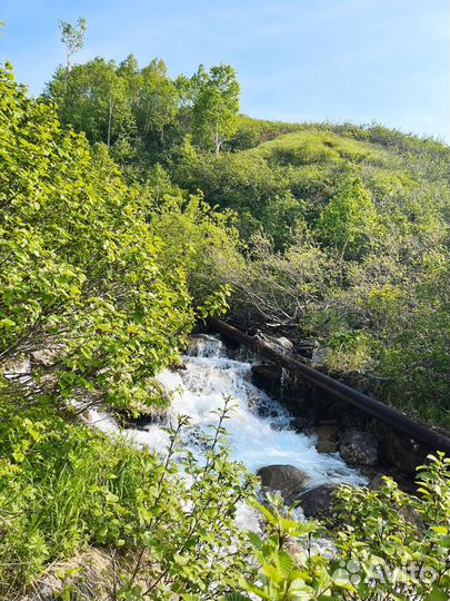 Морские прогулки на катере