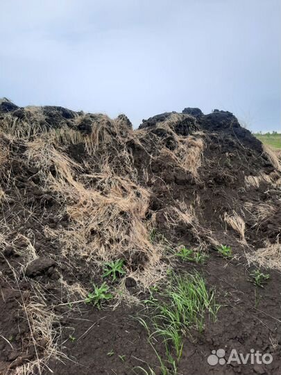 Самовывоз чернозем для дачи дома огорода