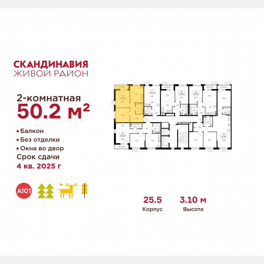 2-к. квартира, 50,2 м², 4/12 эт.