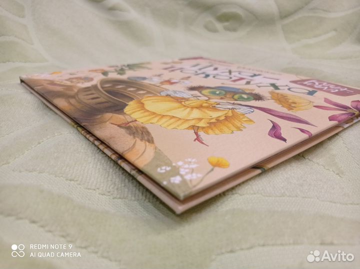 Муха-Цокотуха, илл. Непомнящий, Попугаева