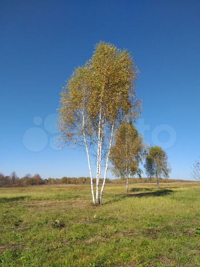 Участок 10,44 га (СНТ, ДНП)