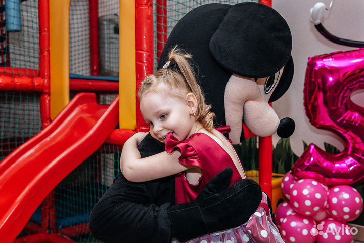 Аниматоры, шоу программы, выпускные, дни рождения