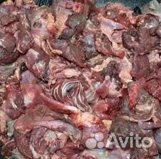 Мясо обрези для собак