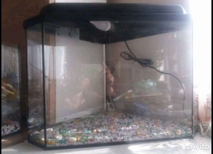 Аквариум