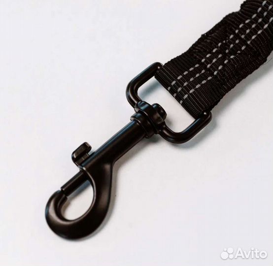 Поводок для собак. Поводок для бега