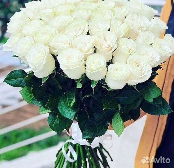 Розы Цветы Букеты 25 51 151 201 101 301 501 опт