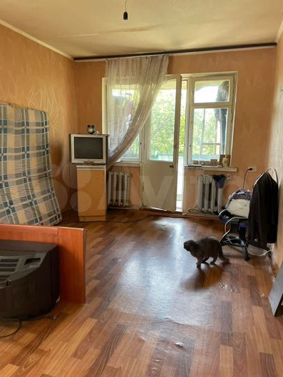 1-к. квартира, 30,4 м², 5/5 эт.