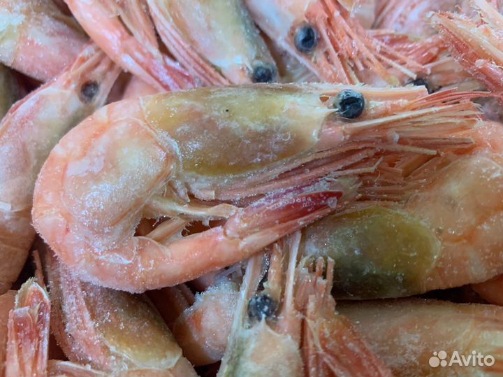 Креветка Северная опт/розница