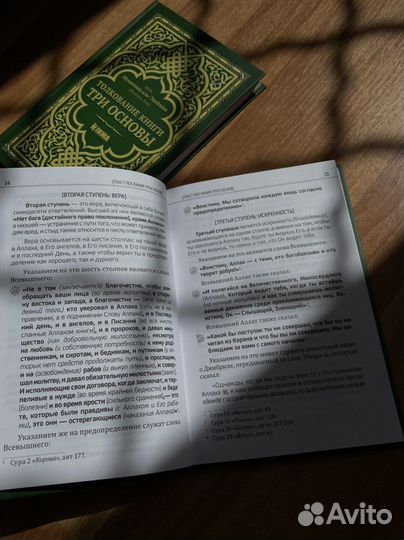 3 основы Усеймин