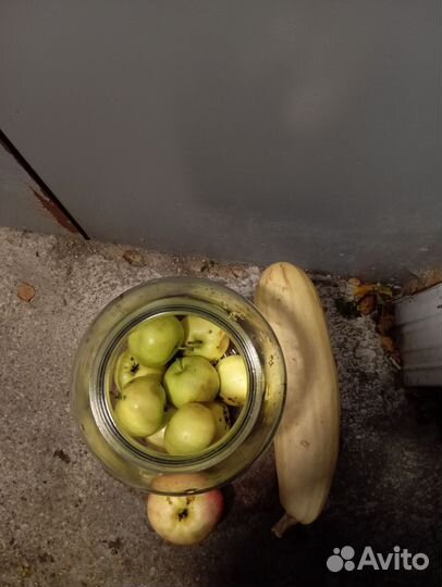 Банка 5 литров