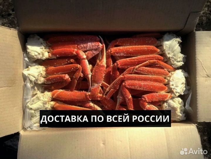 Конечности краба стригуна