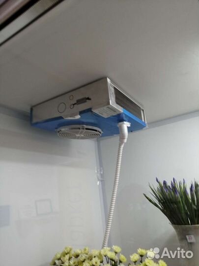 Холодильная камера для цветов