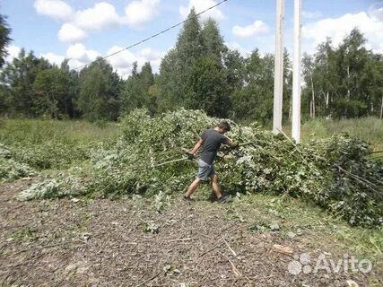 Расчистка участка, слом домов, утилизация хлама