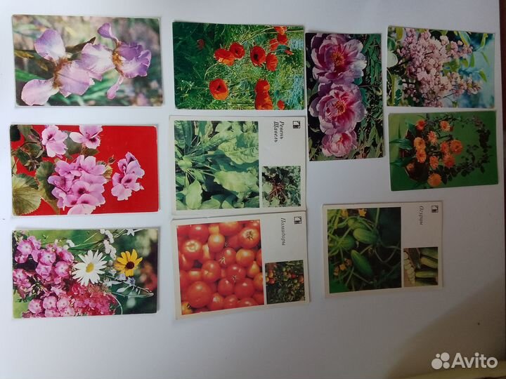 Открытки СССР чистые