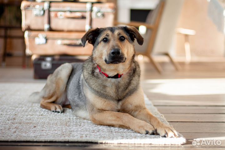 Муся ждёт свою семью