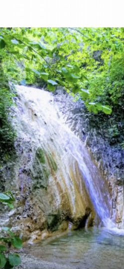 Участок 6 сот. (СНТ, ДНП)