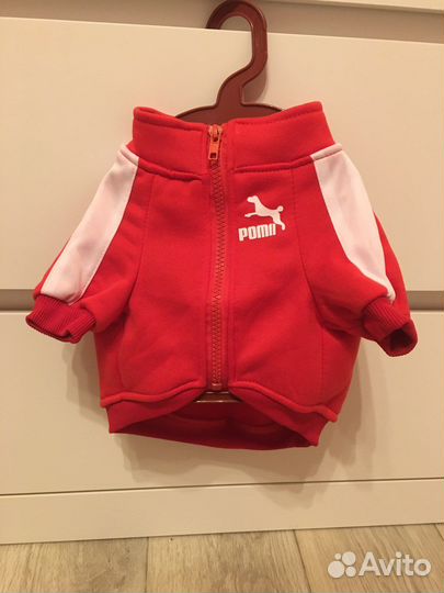 Одежда для собак