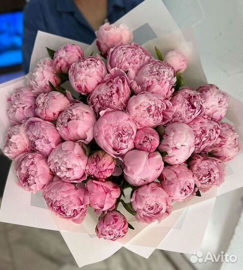 Пионы Букет