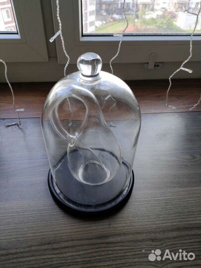 Сосуд Клейна в подарочном колпаке