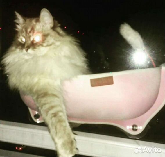 Гамак для кошек новая