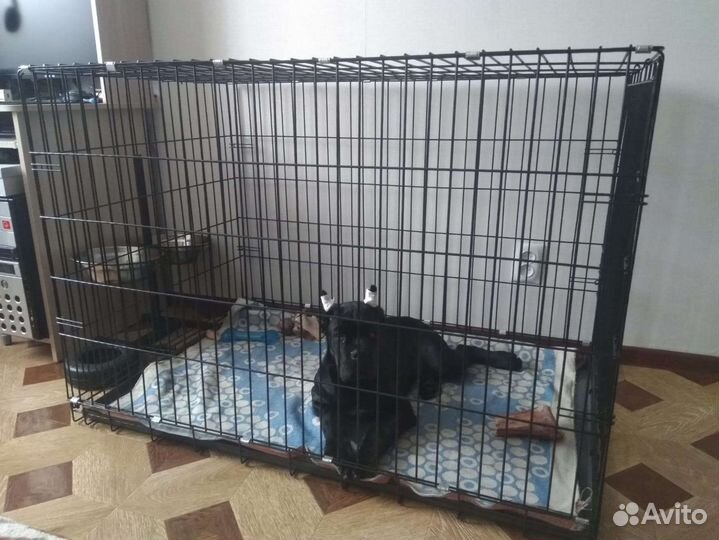 Клетка для собак 120*79*83см