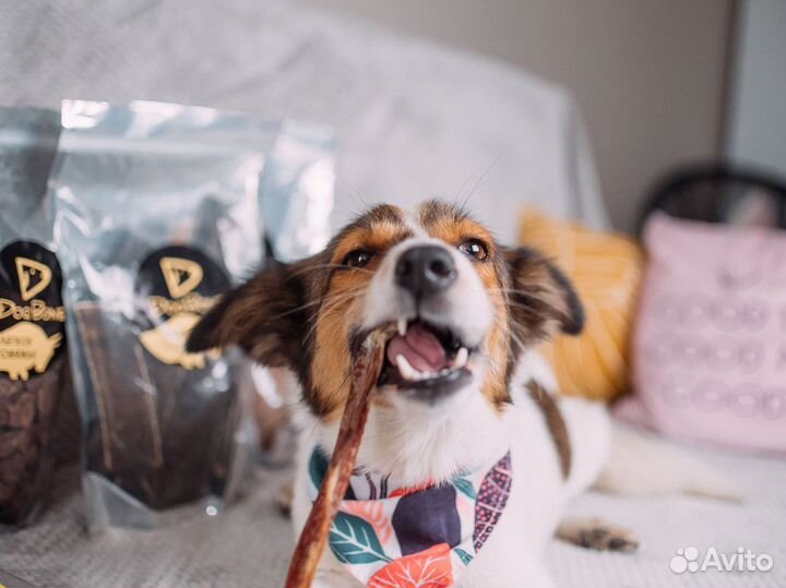 Вкусняшки для собак качество/оптом/доставка