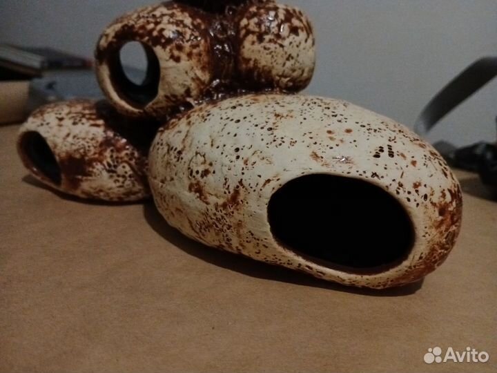 Грот, пещера для нереста