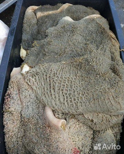 Корм для собак рубец и трахея