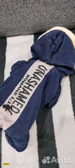 Зимний комбинезон для Чихуахуа