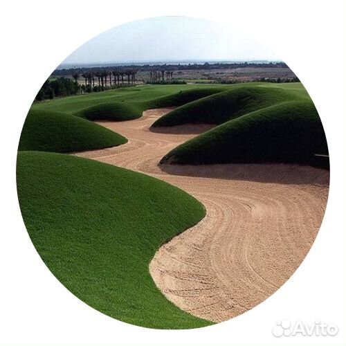 Рулонный газон Эталон