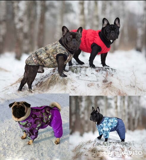 Комбинезоны дождевики жилетки для бульдогов мопсов