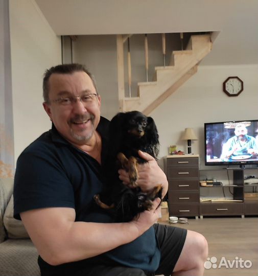 Передержка собак мелких пород