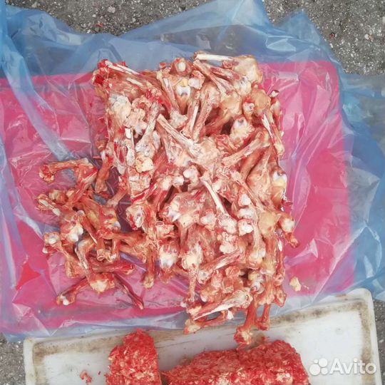 Корм для собак кошек курей