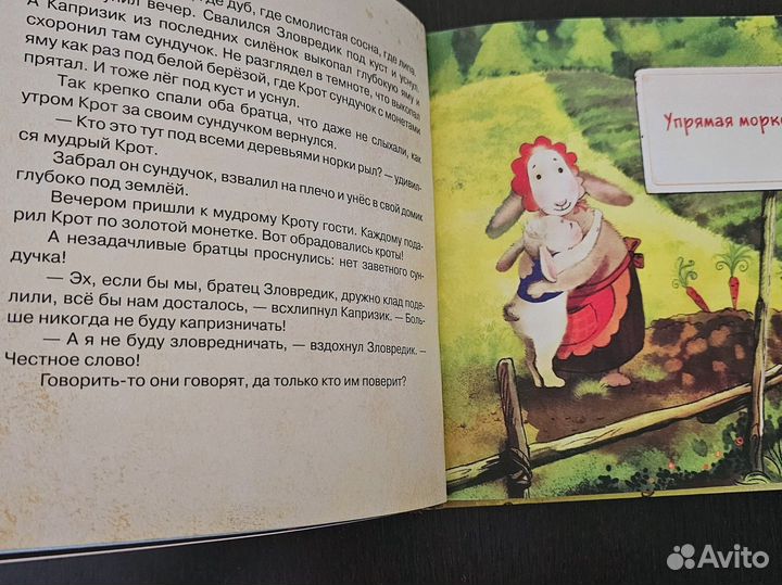 Книга Капризик и Зловредик Софья Прокофьева