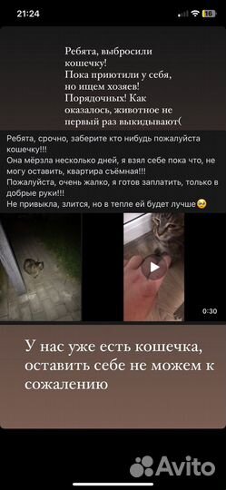 Отдам в добрые руки
