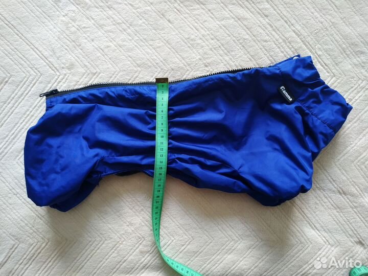 Одежда для животных. Комбинезон для таксы