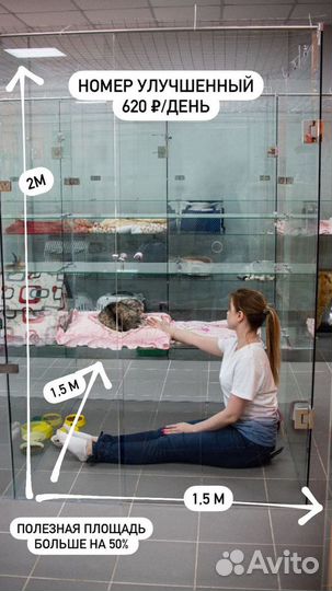 Зоогостиница, передержка животных