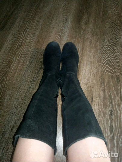 Сапоги натуральная замша