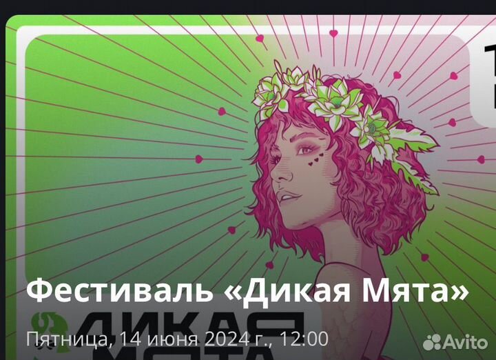 2 взрослых билета на 3 дня фестиваля Дикая мята