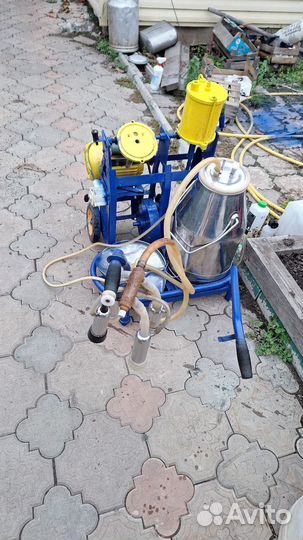 Доильный аппарат для коров бу