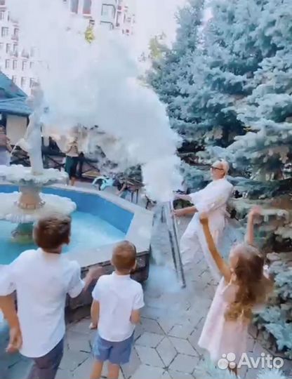 Научное шоу, аниматор