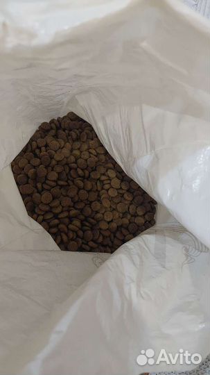 Корма для животных