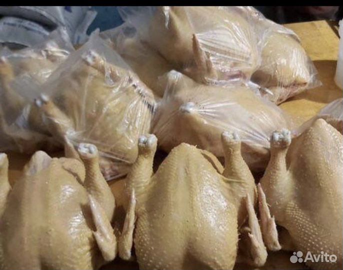 Куры, домашние Бройлеры