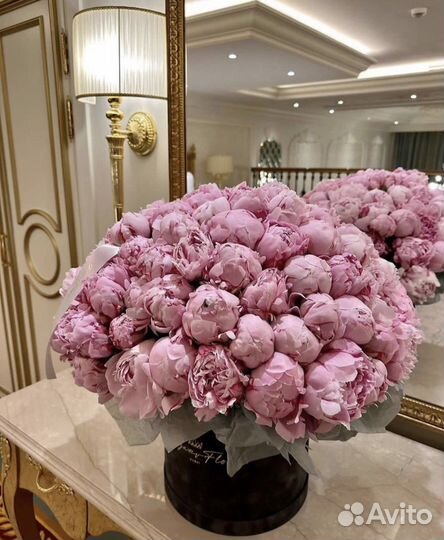 Пионы крупные